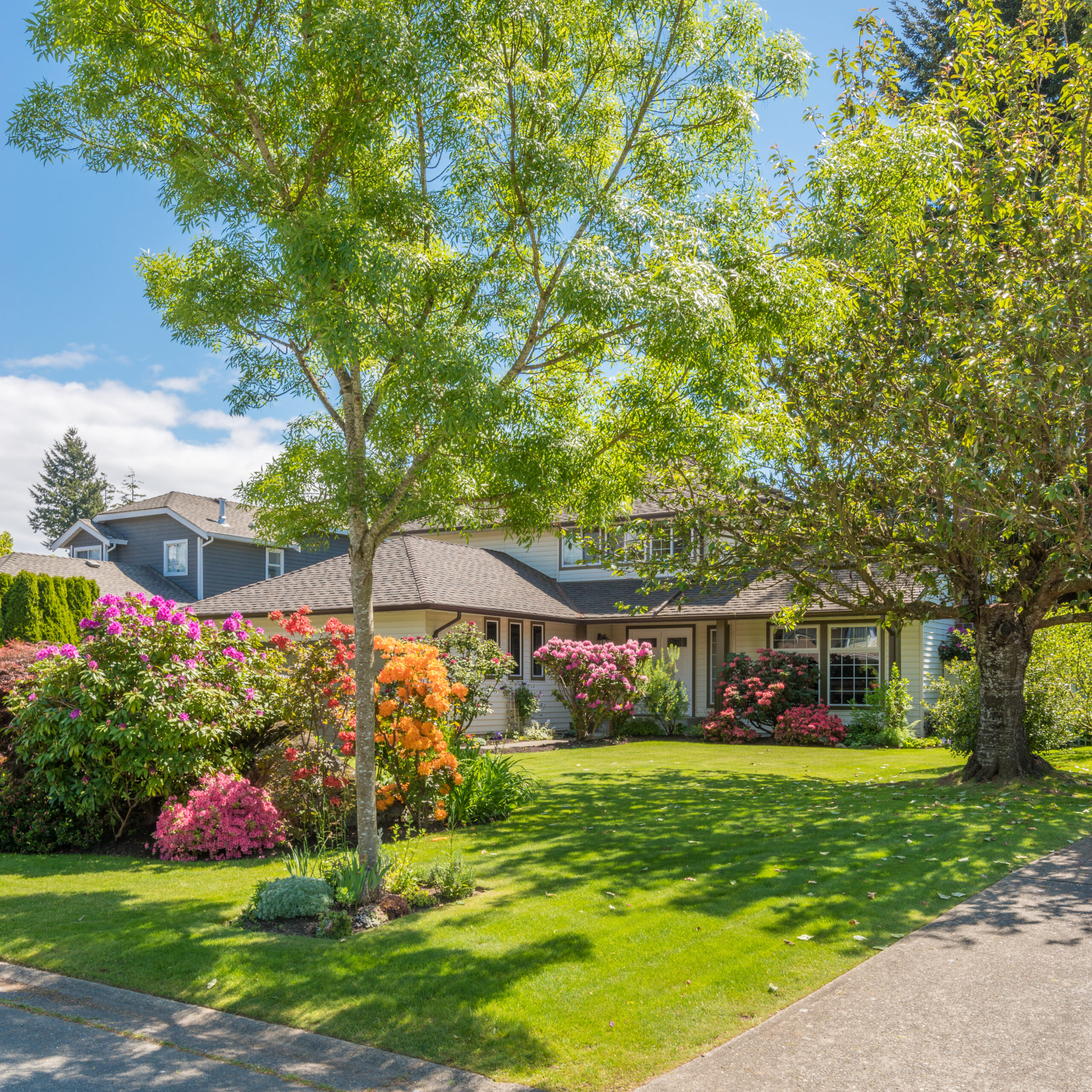 A perfect neighborhood. Houses in suburb at Spring in the north America.